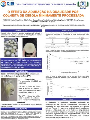 GISELE ALVES PINTO TONHOLI_page-0001