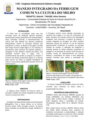 Gabriel_Segatto.ppt_page-0001