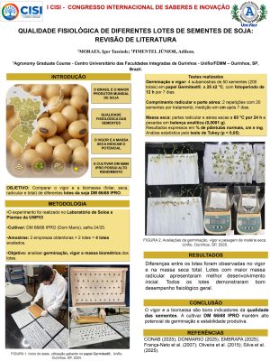 Igor Tassio de Moraes BANNER CISI_page-0001