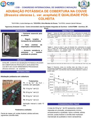 Leticia Rodrigues de Oliveira_page-0001