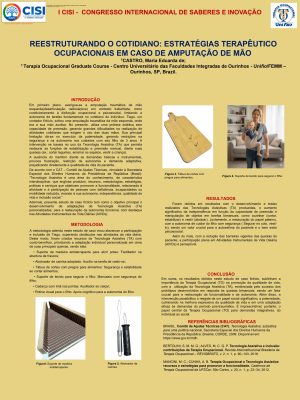 Maria Eduarda Gomes de Castro_page-0001