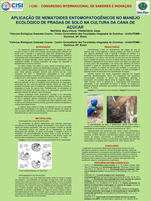 Maria Vitória Mateus_page-0001