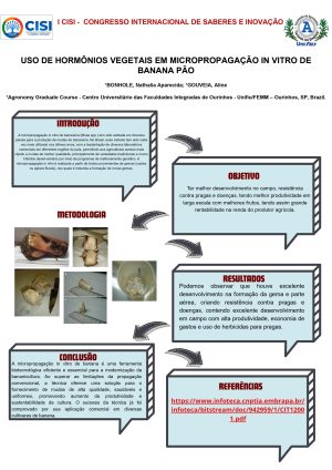 NATHALIA APARECIDA BONHOLE_page-0001