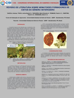 Pedro_Henrique_Cassiano_Romano_page-0001